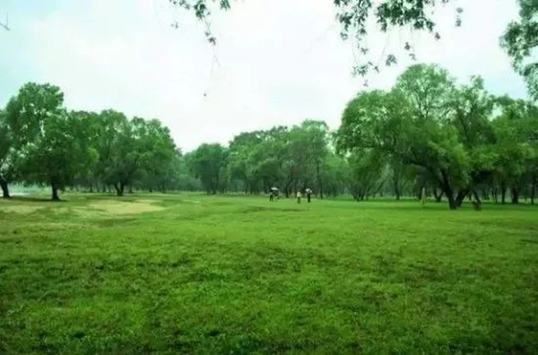 杨林.jpg 杨林.jpg