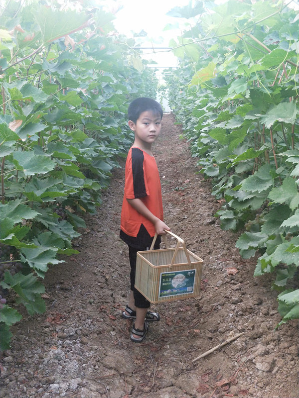 001_副本.jpg 001_副本.jpg