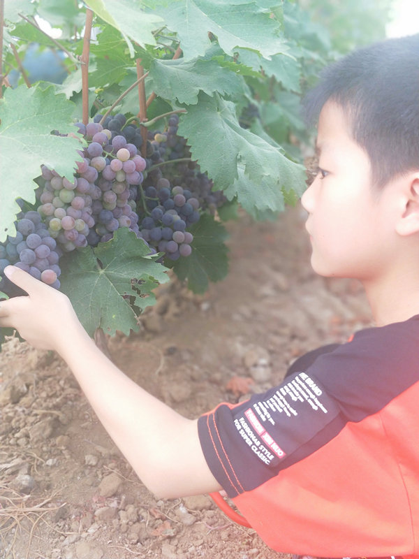 003_副本.jpg 003_副本.jpg