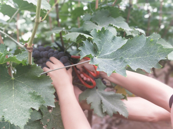 002_副本.jpg 002_副本.jpg