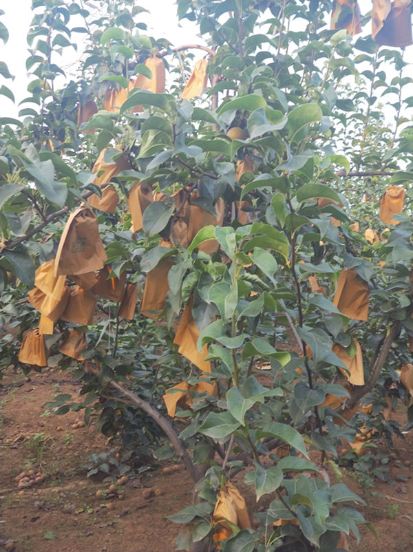 007_副本.jpg 007_副本.jpg